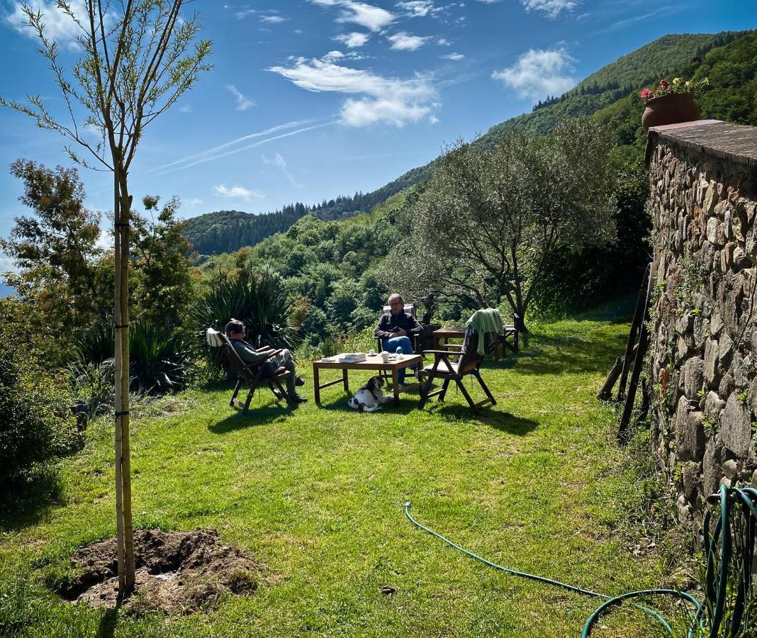 Séjour à la campagne El Buxaus De La Muntanya Arbúcies