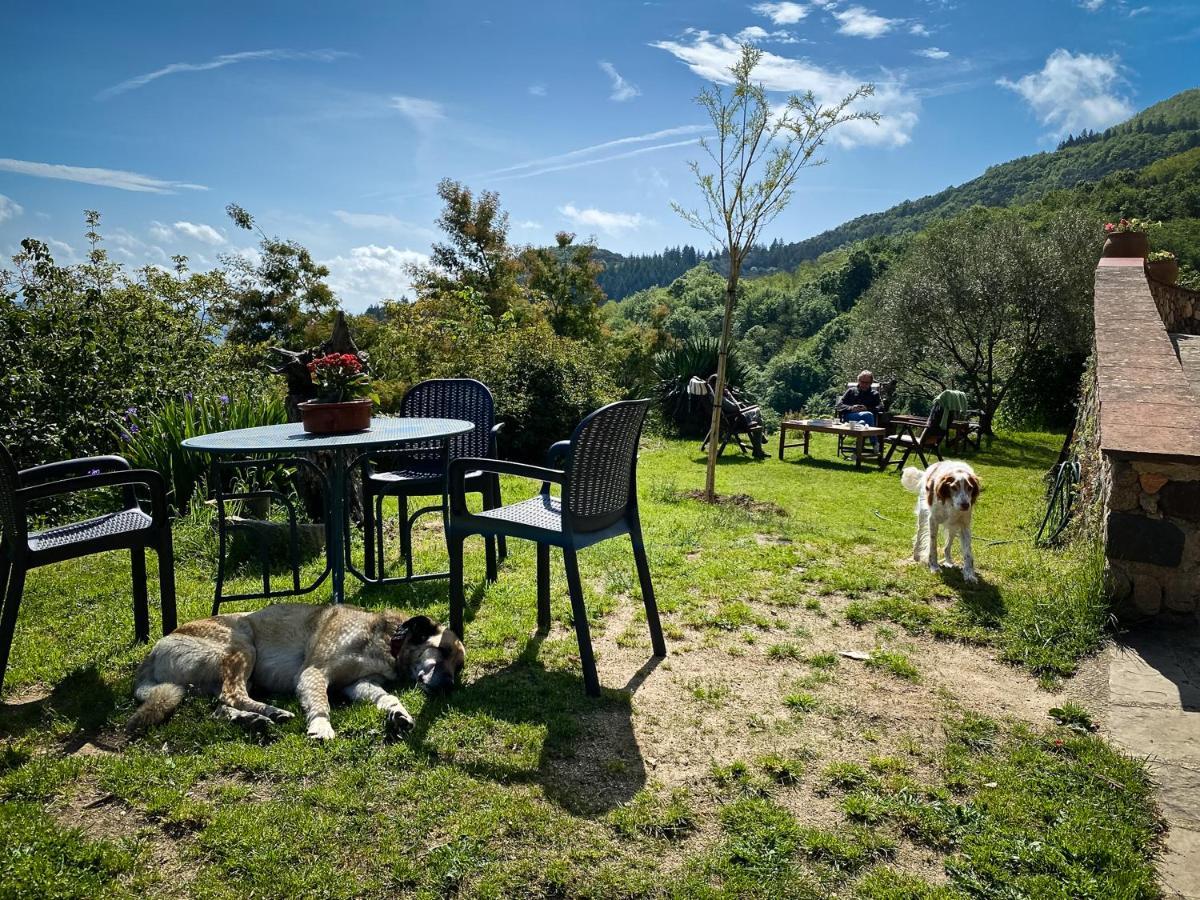 Casa rural El Buxaus De La Muntanya Arbúcies