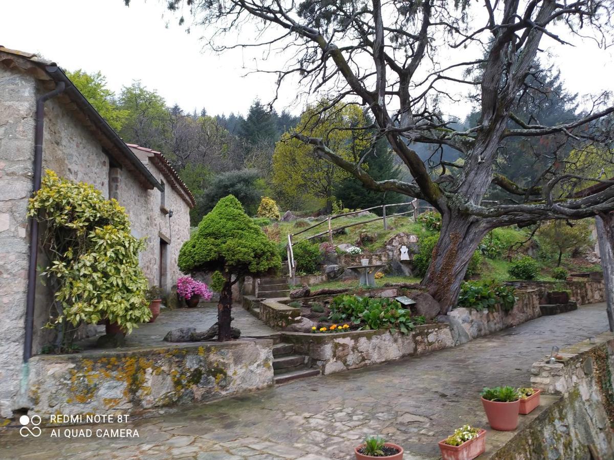 Séjour à la campagne El Buxaus De La Muntanya