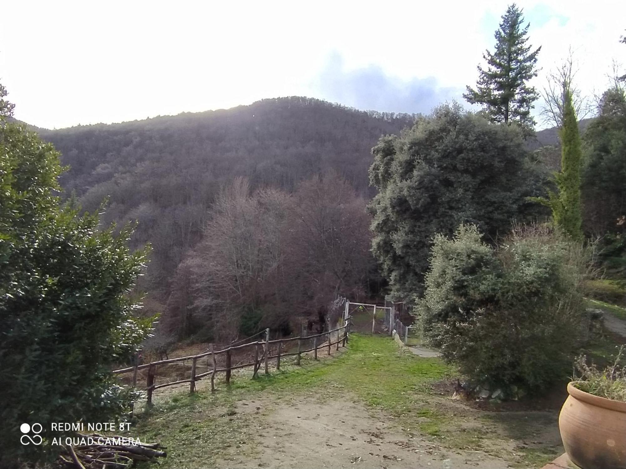 Casa rural El Buxaus De La Muntanya